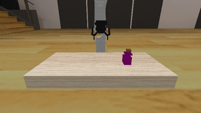 Initial State Distribution