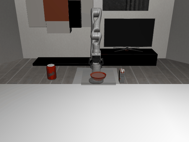 Initial State Distribution