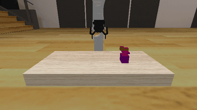 Initial State Distribution