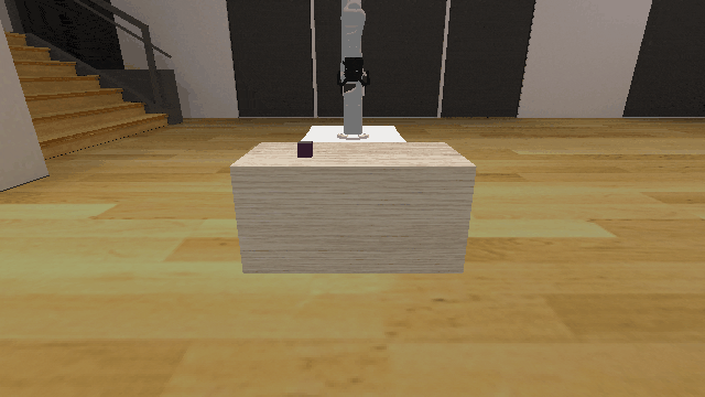 Initial State Distribution