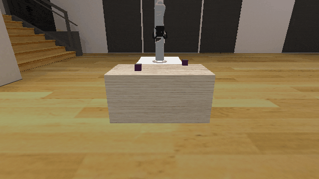 Initial State Distribution