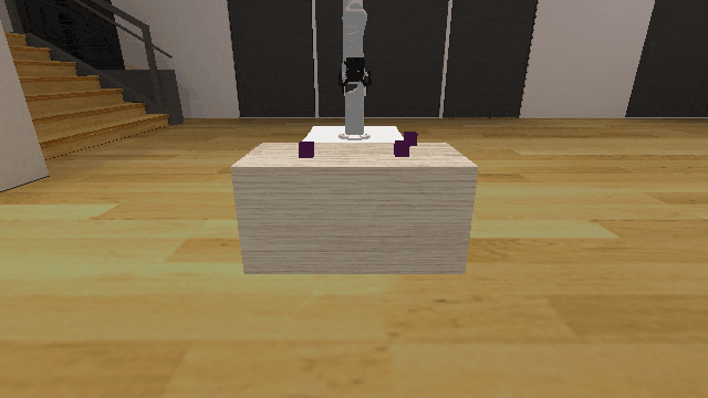 Initial State Distribution