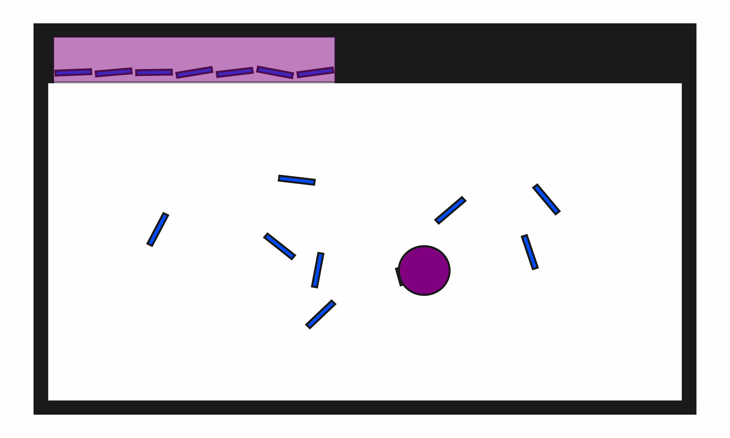 Random Action Behavior